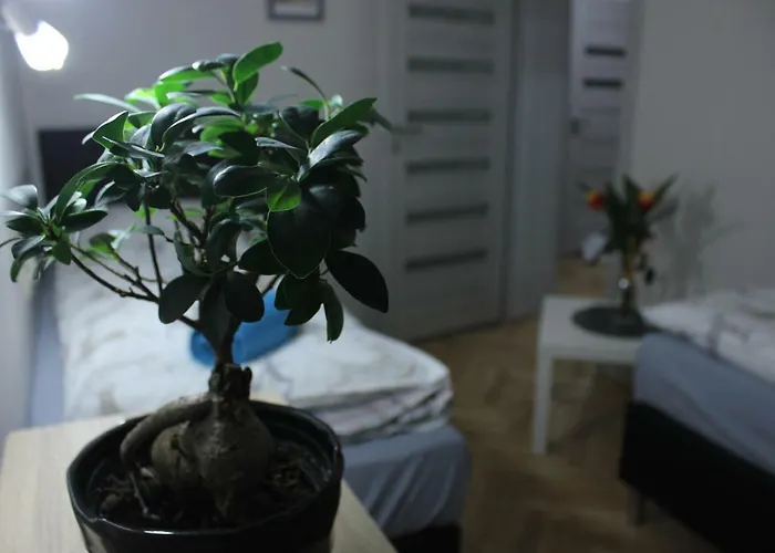 Apartamento Kotlarska